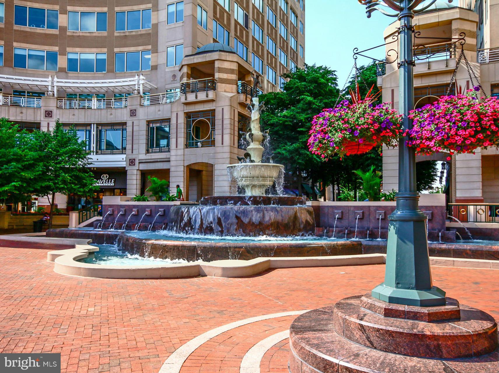 12024 Taliesin Place, Unit 12 Reston, VA 20190 - Photo 24 of 28 Reston Town Center