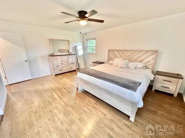 10 Boxwood Road Piscataway, NJ 08854 - Photo 24 of 48 Gallery Image 24
