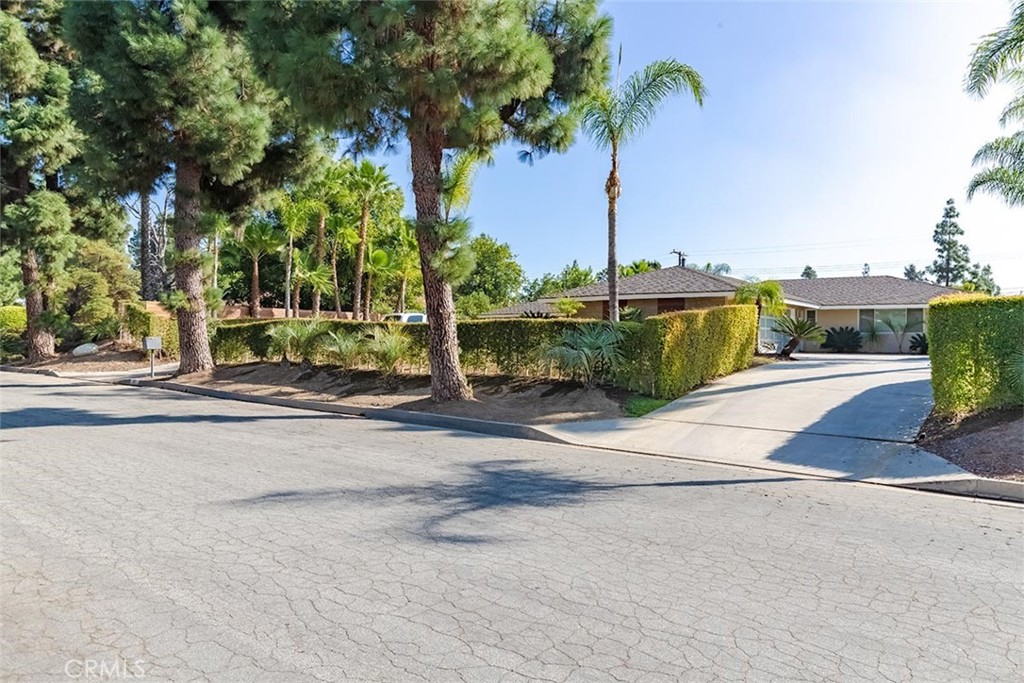 931 Rancho Circle Fullerton, CA 92835 - Photo 3 of 53 a view of a street with palm trees