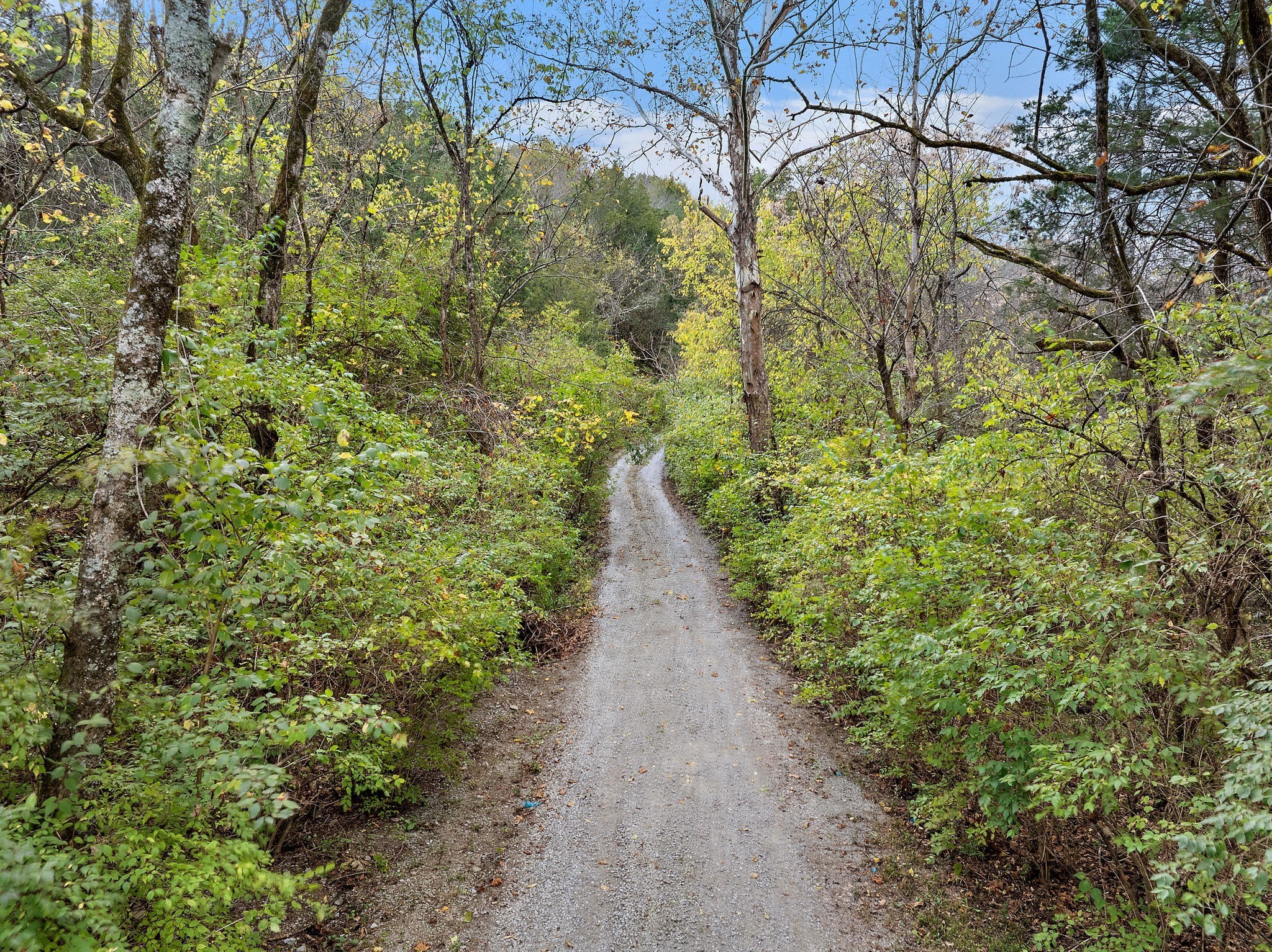 6916 River Rd Pike Nashville, TN 37209 - Photo 2 of 24 a view of a pathway both side of yard