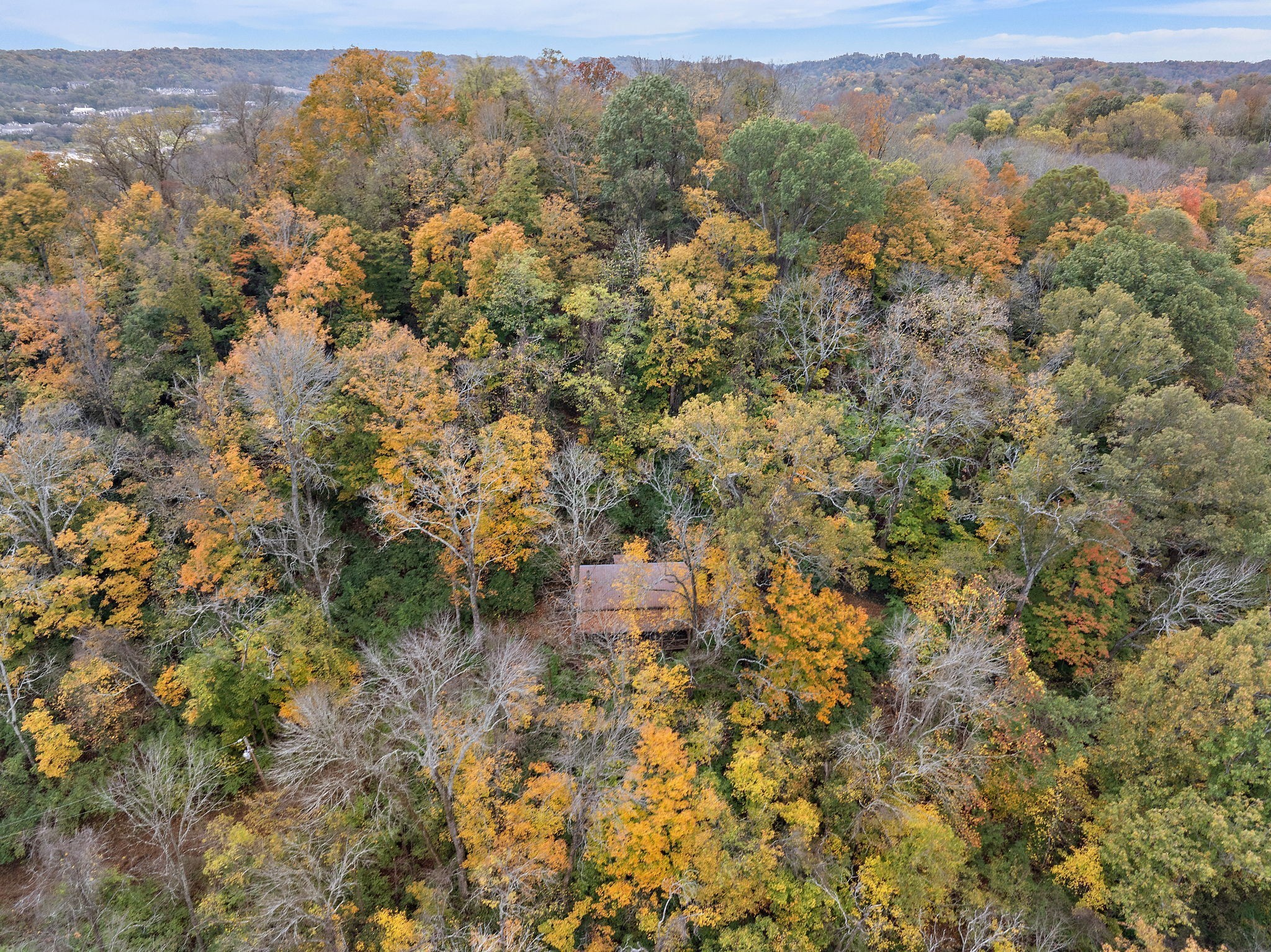 6916 River Rd Pike Nashville, TN 37209 - Photo 3 of 24 an aerial view of forest