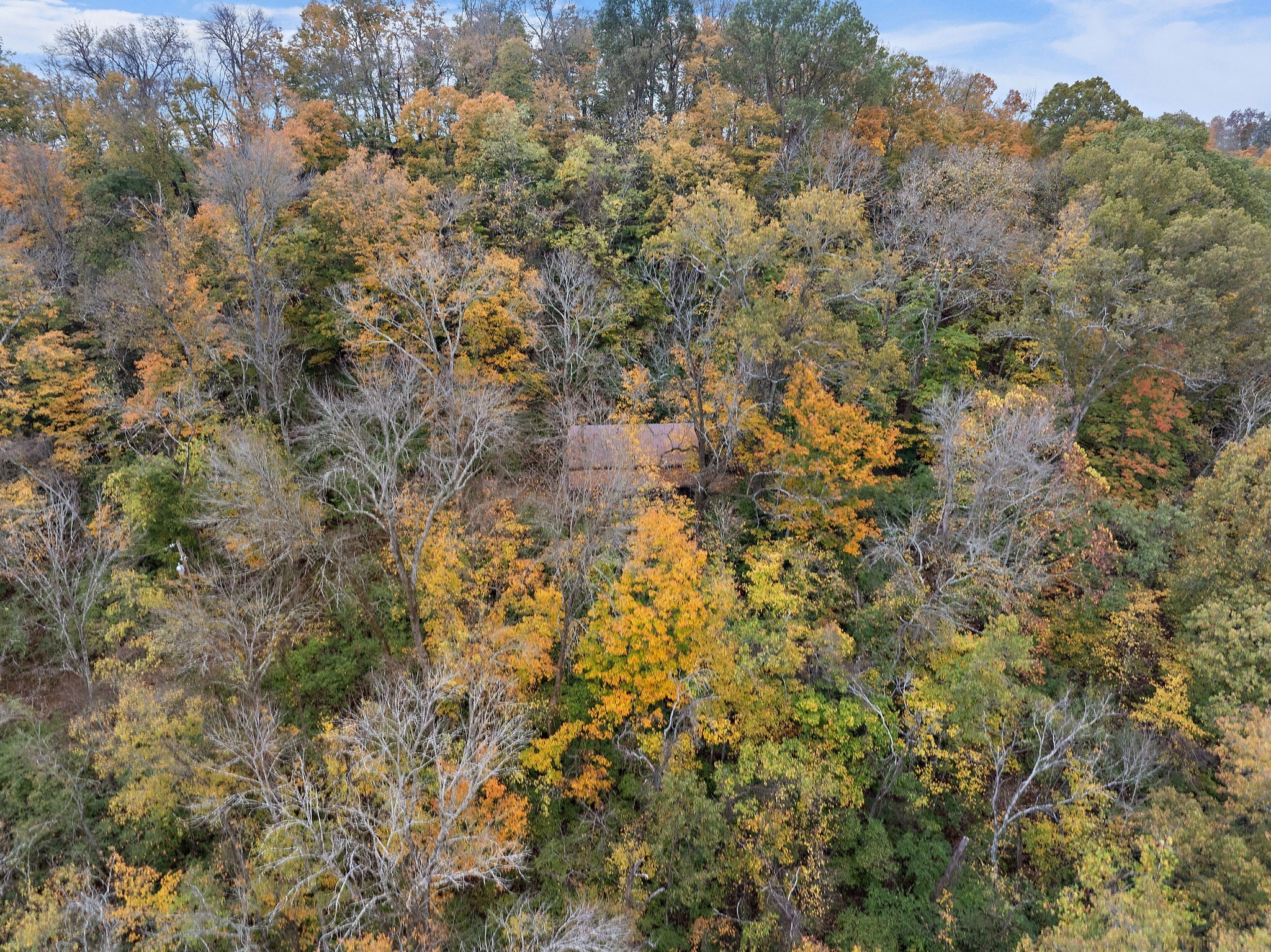 6916 River Rd Pike Nashville, TN 37209 - Photo 4 of 24 a view of a yard