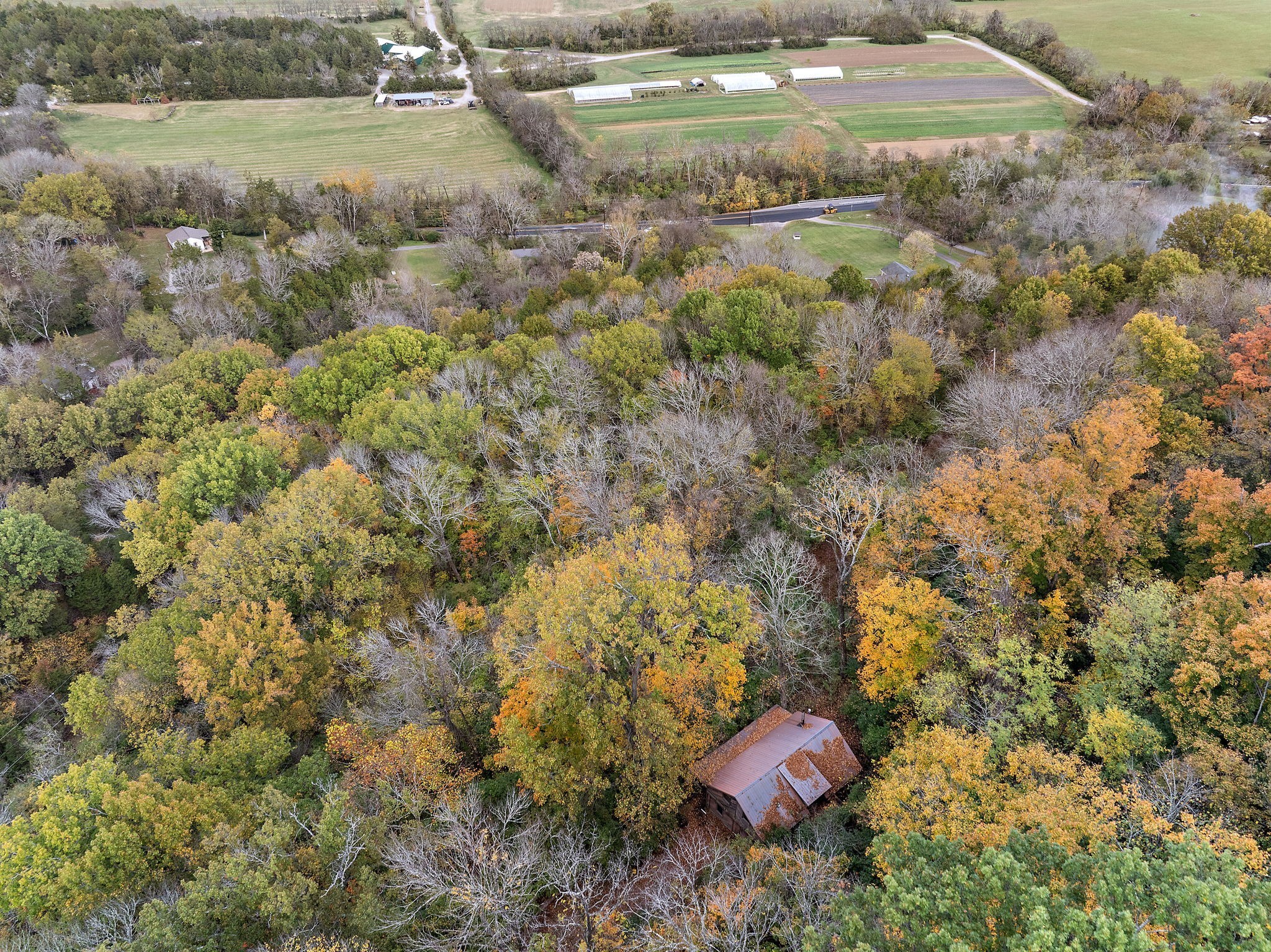 6916 River Rd Pike Nashville, TN 37209 - Photo 10 of 24 a view of a yard