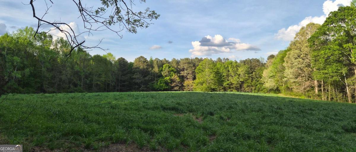 750 Poca Road Danielsville, GA 30633 - Photo 11 of 11