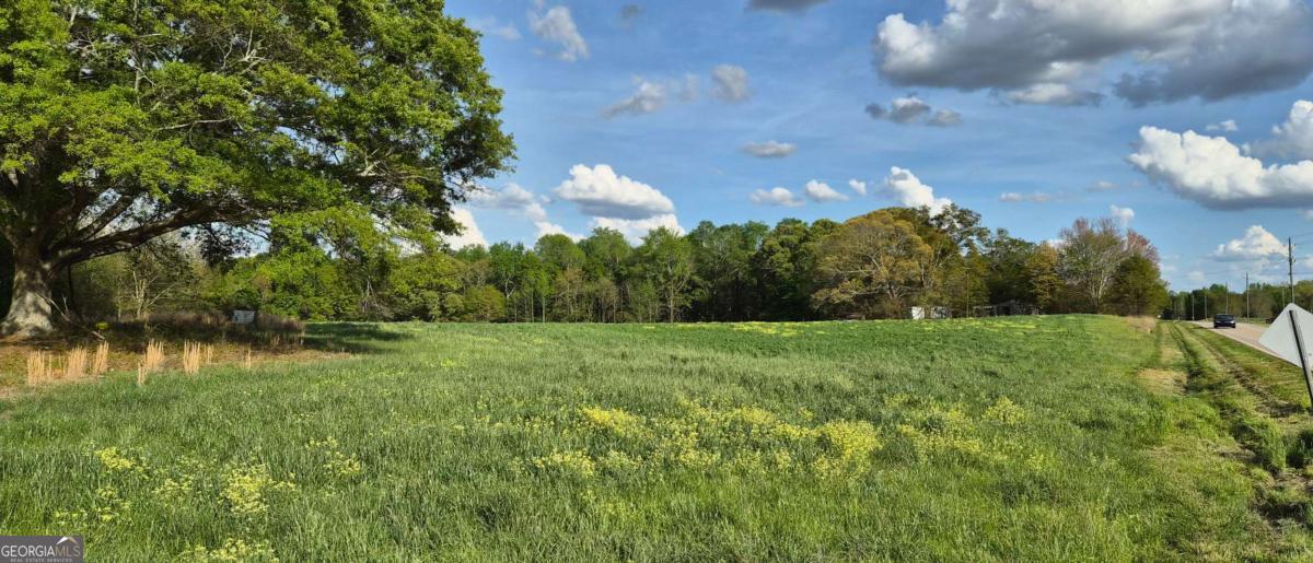 750 Poca Road Danielsville, GA 30633 - Photo 3 of 11