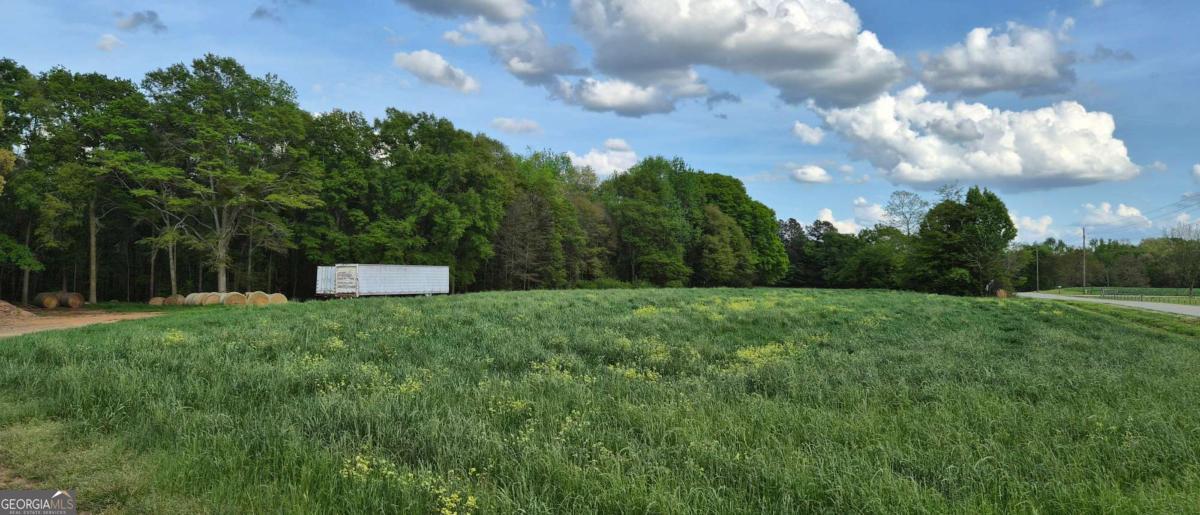 750 Poca Road Danielsville, GA 30633 - Photo 6 of 11