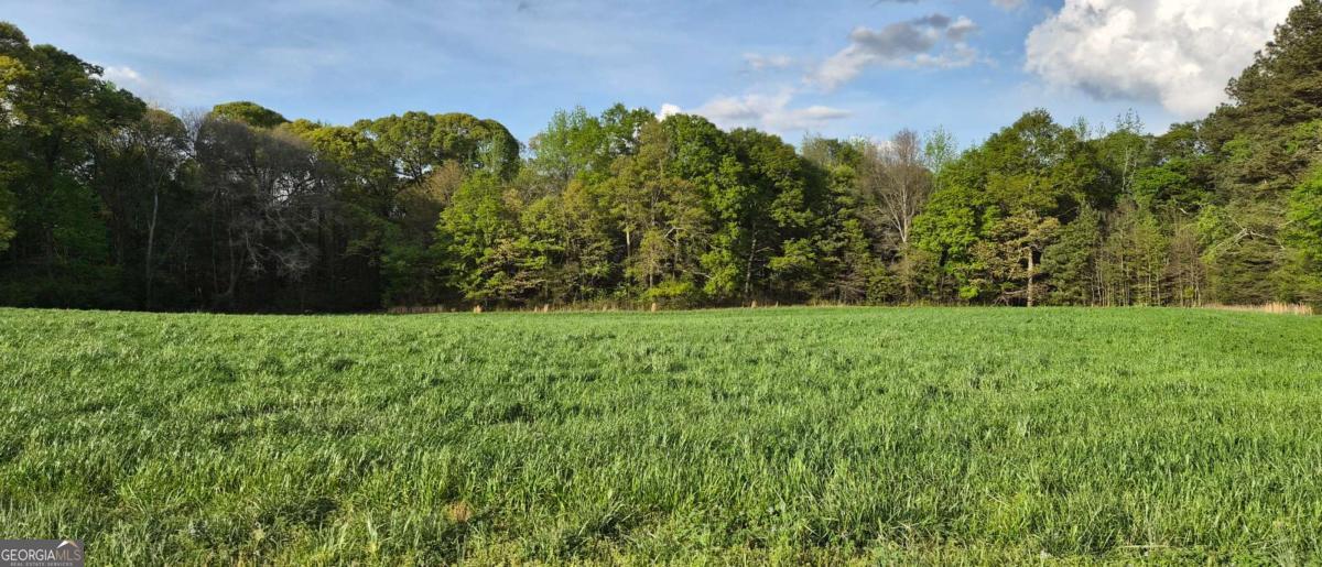 750 Poca Road Danielsville, GA 30633 - Photo 7 of 11