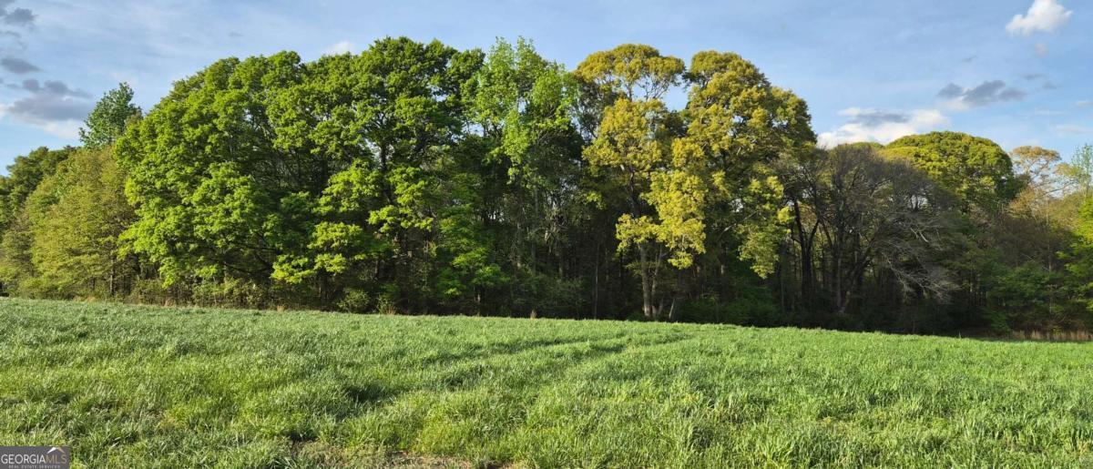 750 Poca Road Danielsville, GA 30633 - Photo 8 of 11