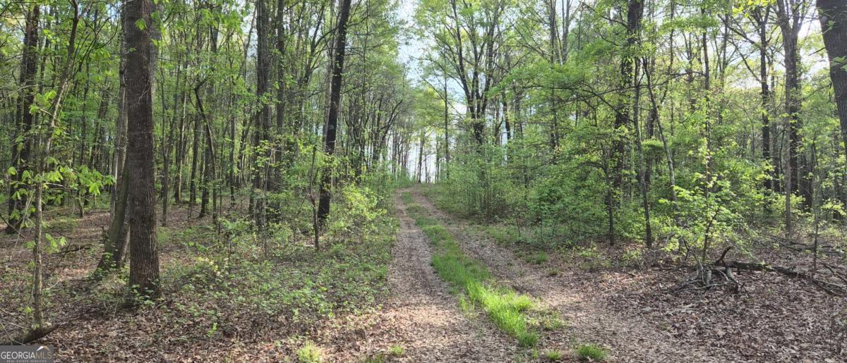 750 Poca Road Danielsville, GA 30633 - Photo 9 of 11