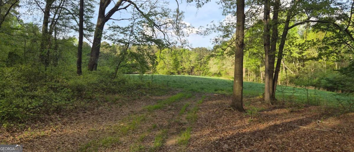 750 Poca Road Danielsville, GA 30633 - Photo 10 of 11