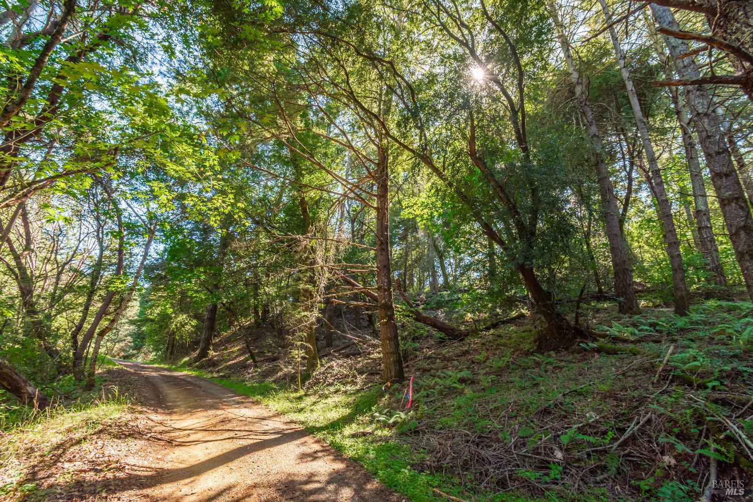 0 Dry Creek Road Napa, CA 94558 - Photo 28 of 98