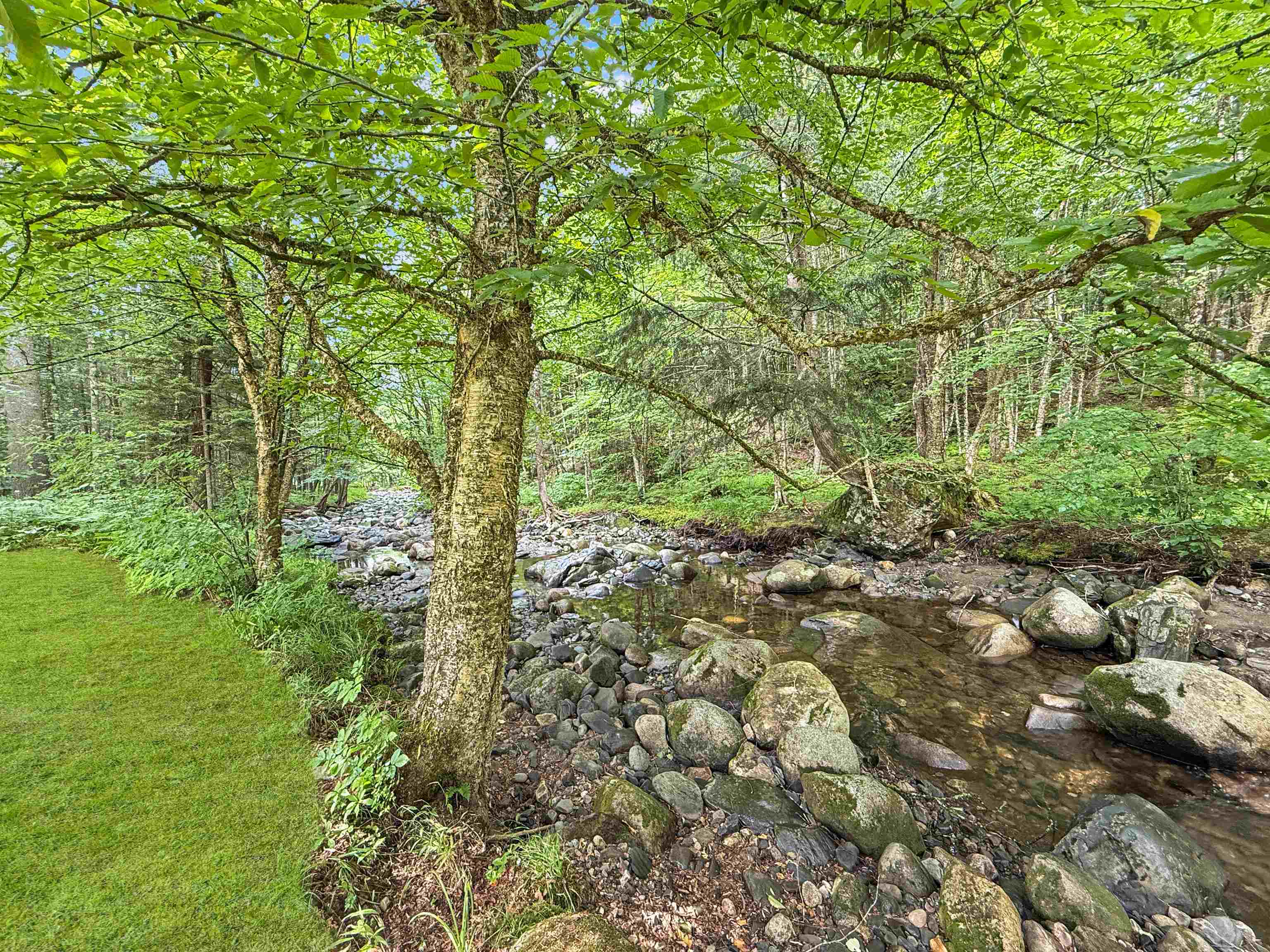 215 Mill Brook Road Bloomfield, VT 05905 - Photo 34 of 41 Gallery Image 34