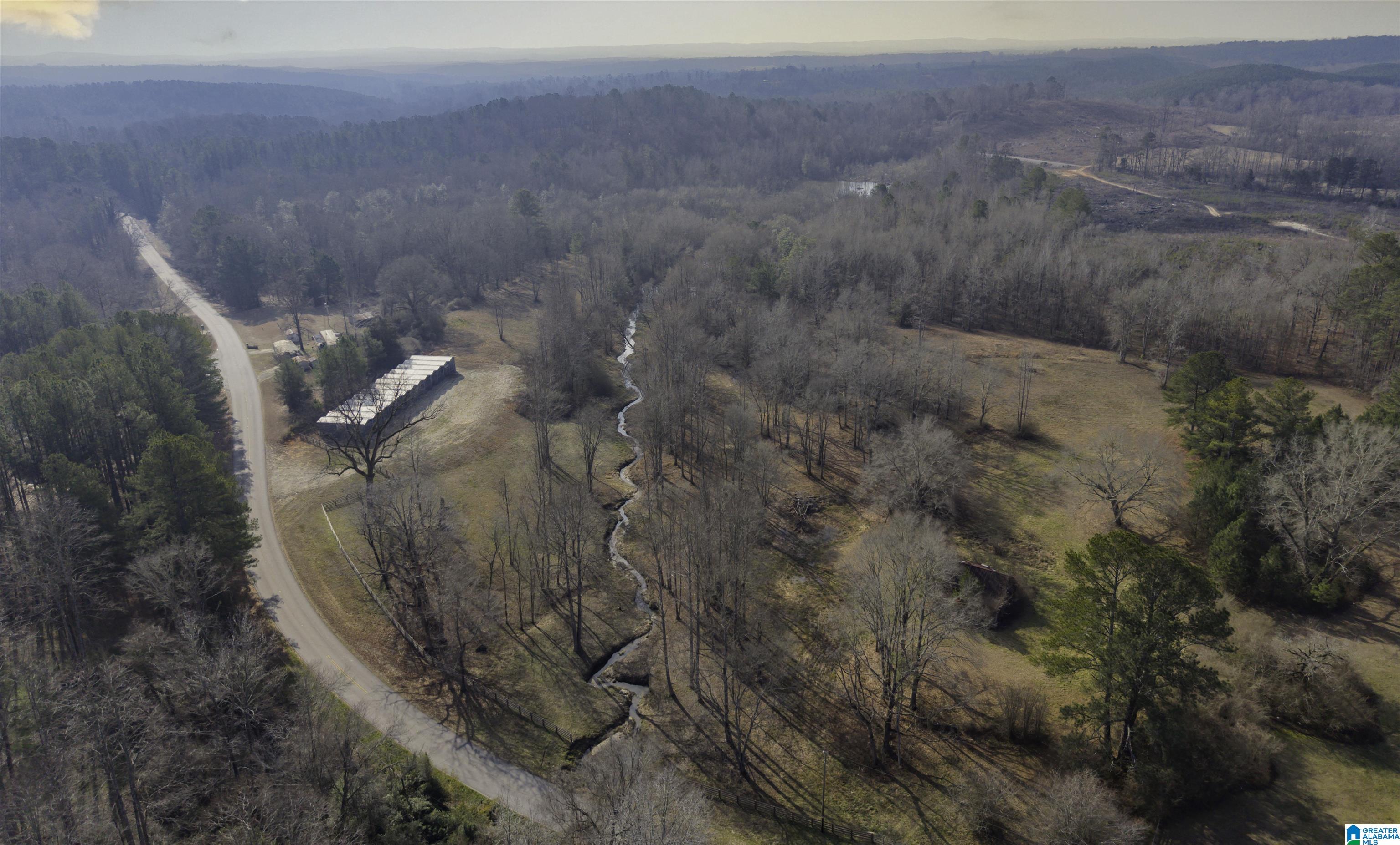 4970 Blakes Ferry Road Lineville, AL 36266 - Photo 10 of 24 Gallery Image 10