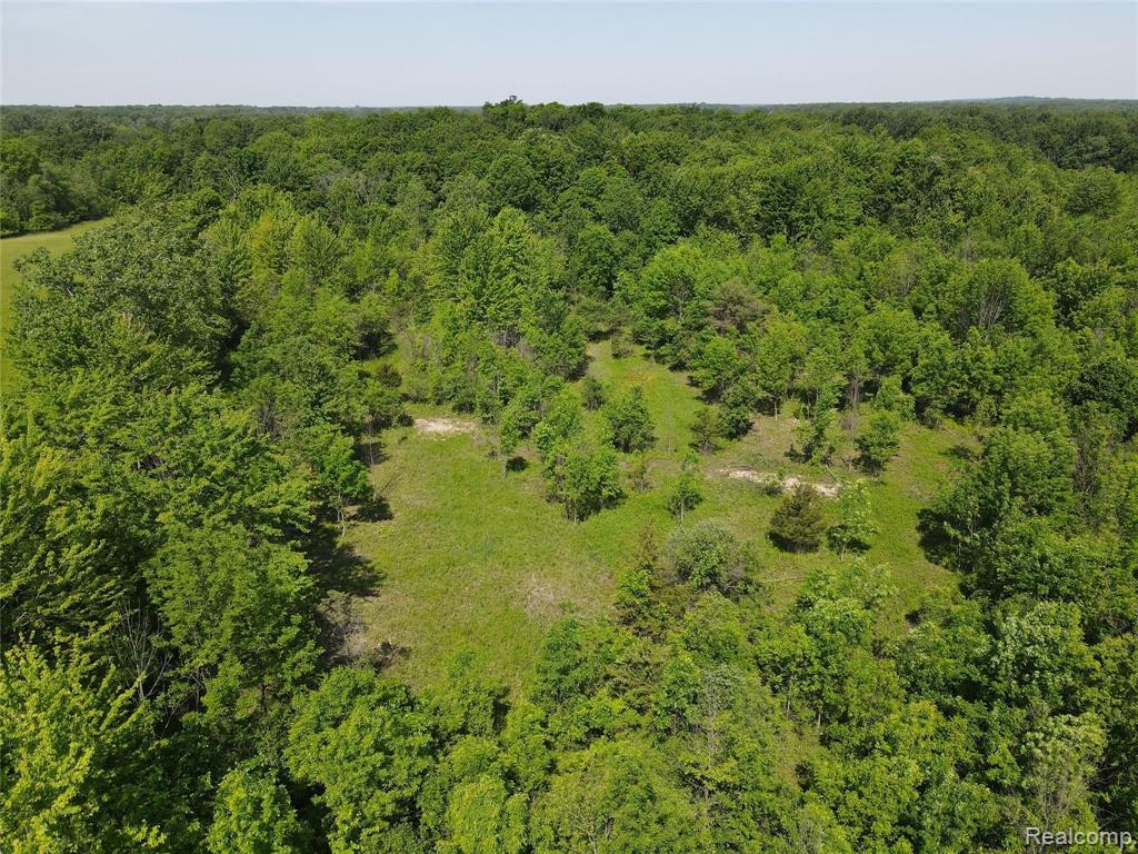 4 South Rushton Road South Lyon, MI 48178 - Photo 2 of 19
