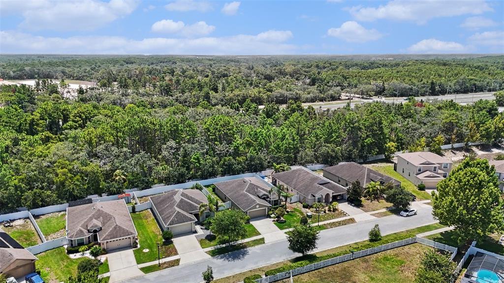 10048 Ives Loop Hudson, FL 34667 - Photo 32 of 34