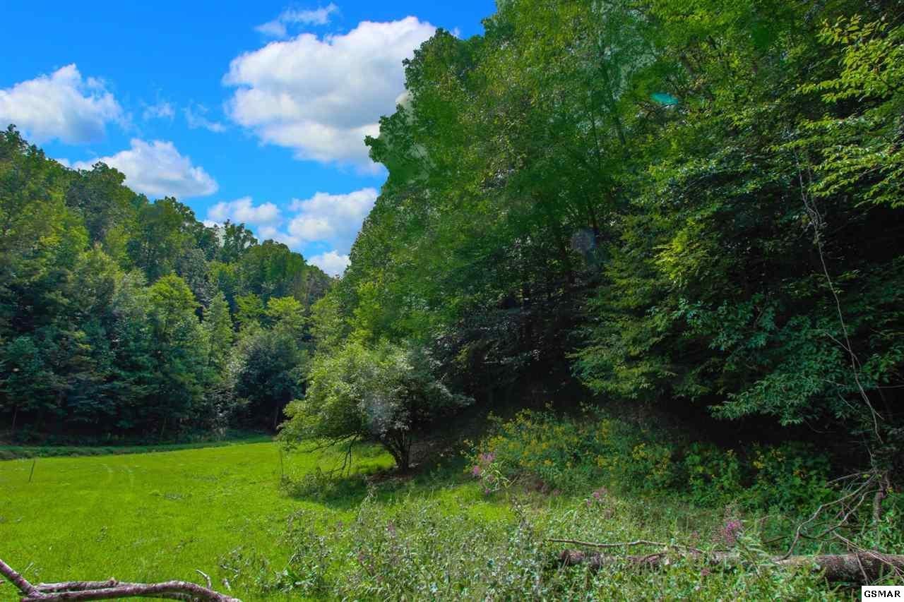 25 Lower Rinehart Road Dandridge, TN 37725 - Photo 22 of 27 Gallery Image 22