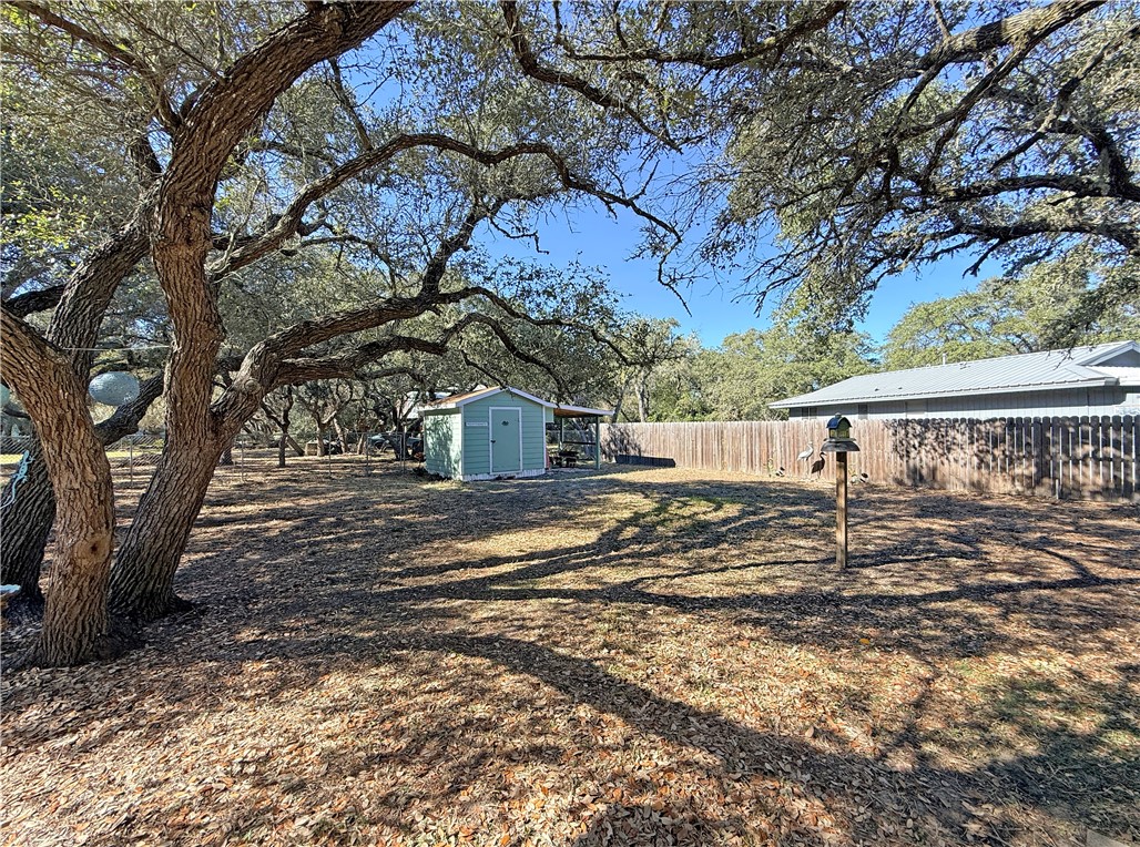 1411 Myrtle Street Fulton, TX 78358 - Photo 22 of 26 a view of a yard with large tree