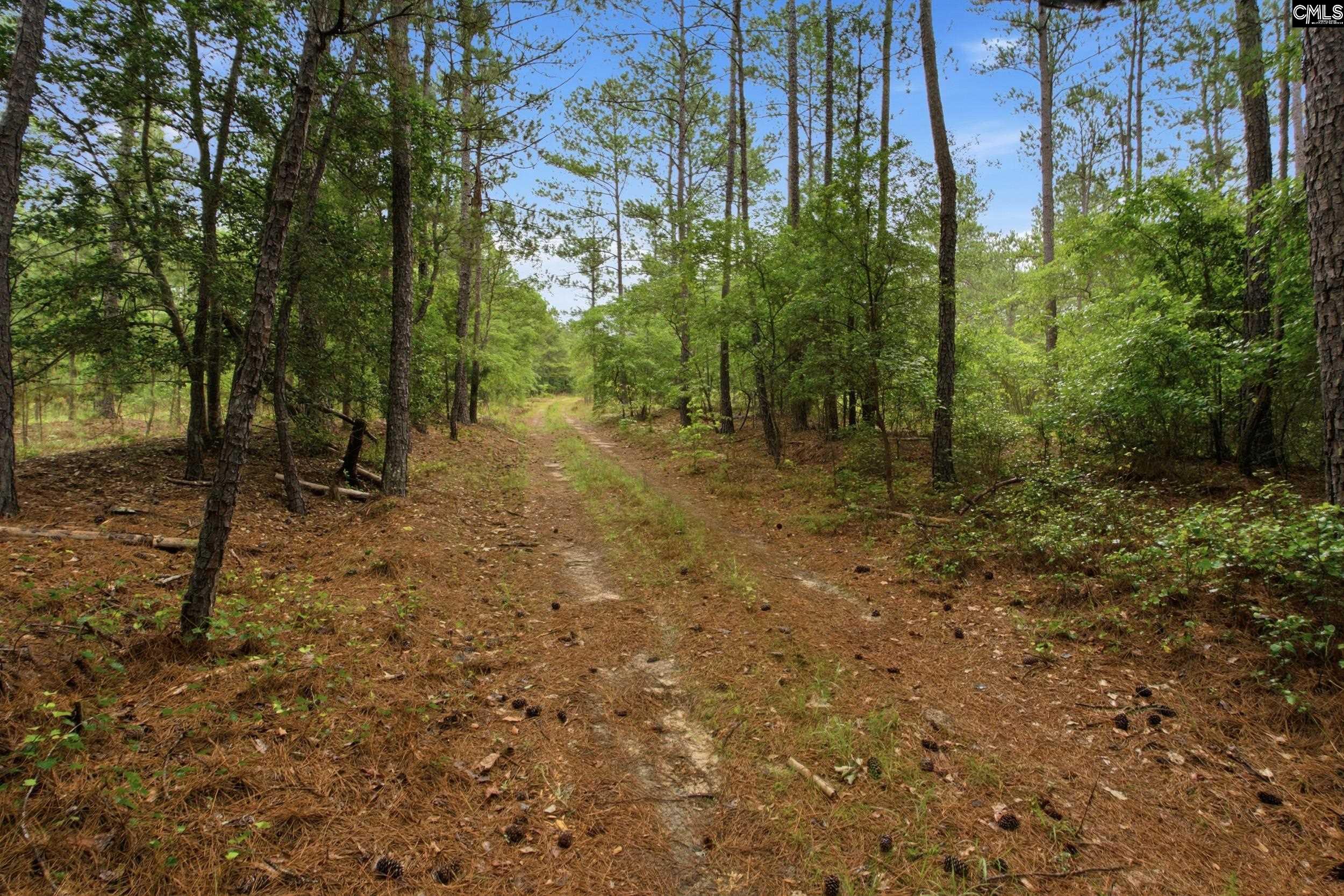 3390 State Rd S-28-496 Kershaw, SC 29067 - Photo 11 of 26