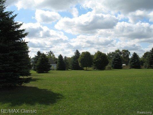 7580 Dell Road Saline, MI 48176 - Photo 17 of 17 2 ACRES OF NATURE'S BEAUTY