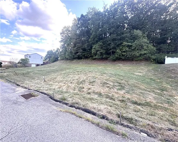 a view of a yard with an trees