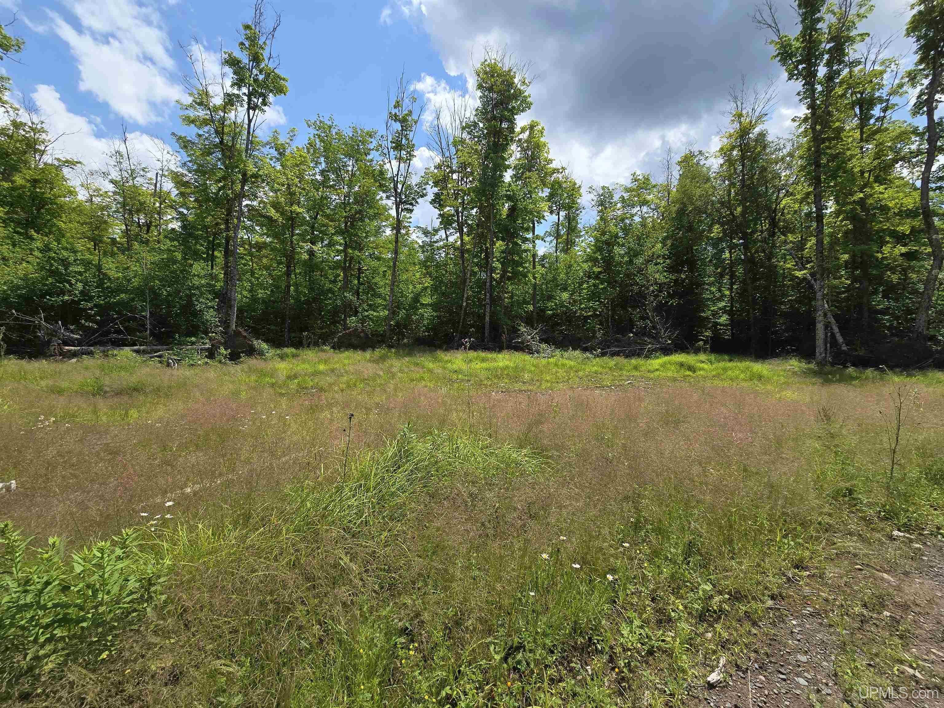 13856 North Section 16 Road Covington, MI 49919 - Photo 14 of 46