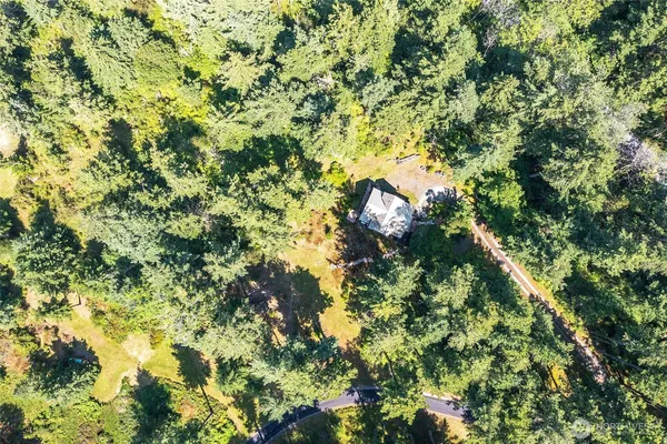 a view of a yard
