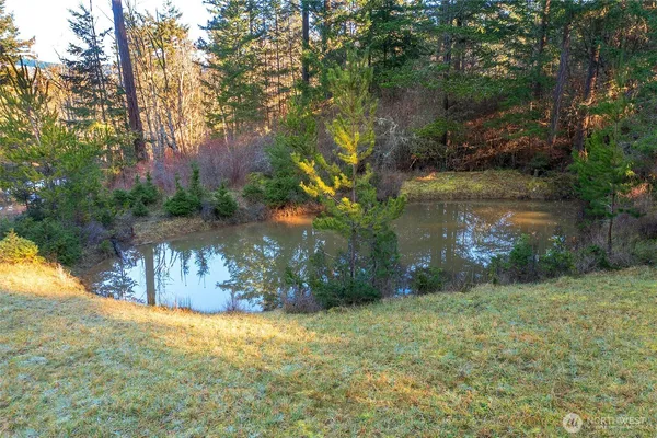 a view of backyard with tree