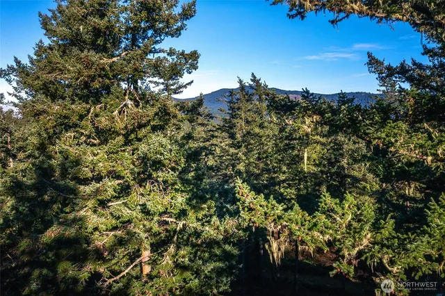 $785,000 | 87 Levon Lane, Orcas Island, WA 98243
