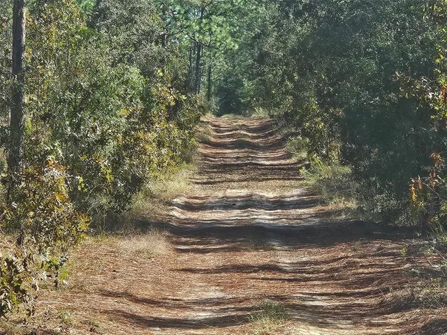 a street sign that is on a pole
