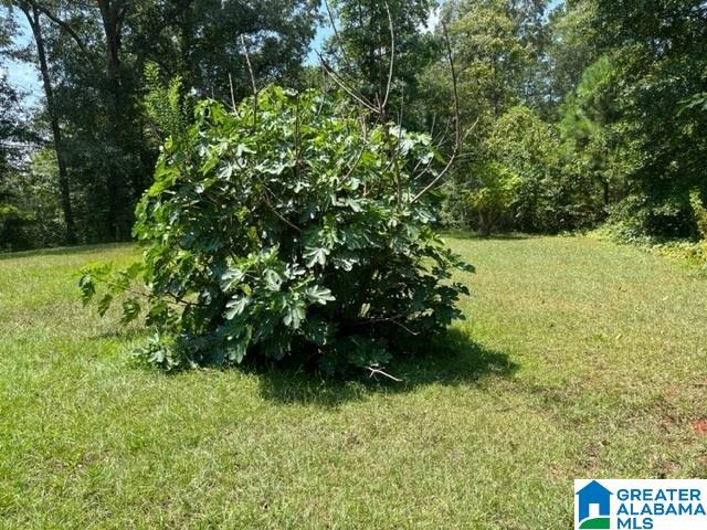 208 Millard Street Talladega, AL 35160 - Photo 3 of 18