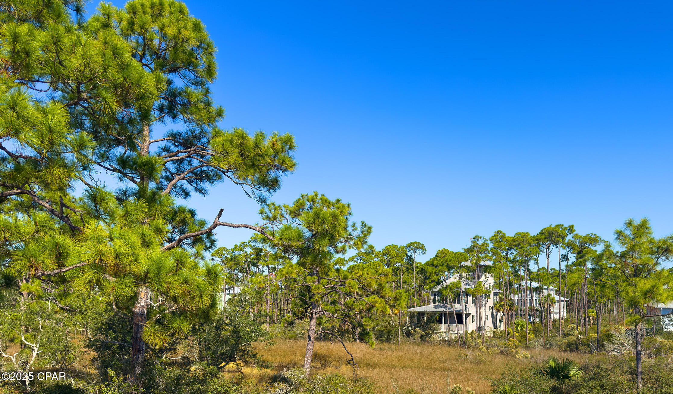 436 Windmark Way Port St. Joe, FL 32456 - Photo 31 of 57