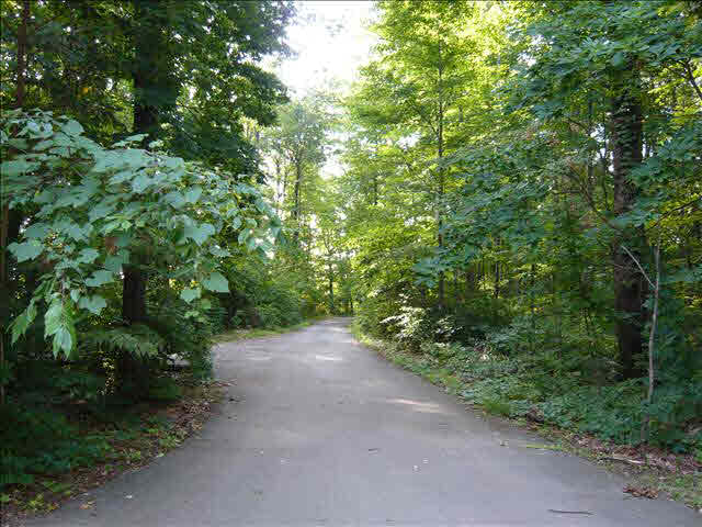 13390 Todd Road Ida, MI 48140 - Photo 11 of 11 Driveway to home