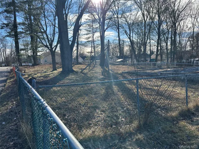 a view of a yard with trees