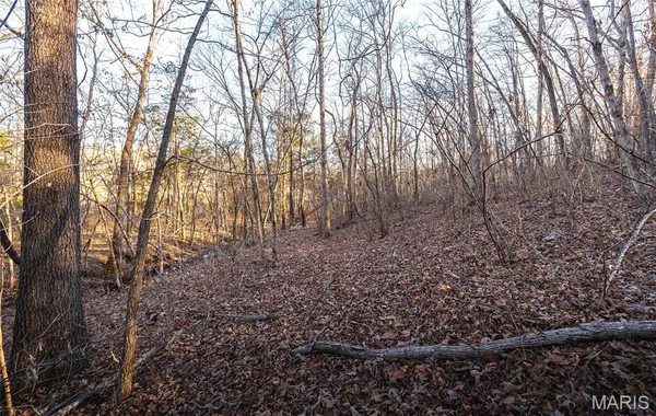 $325,000 | 0 County Road 555 B, Tecumseh, MO 65760