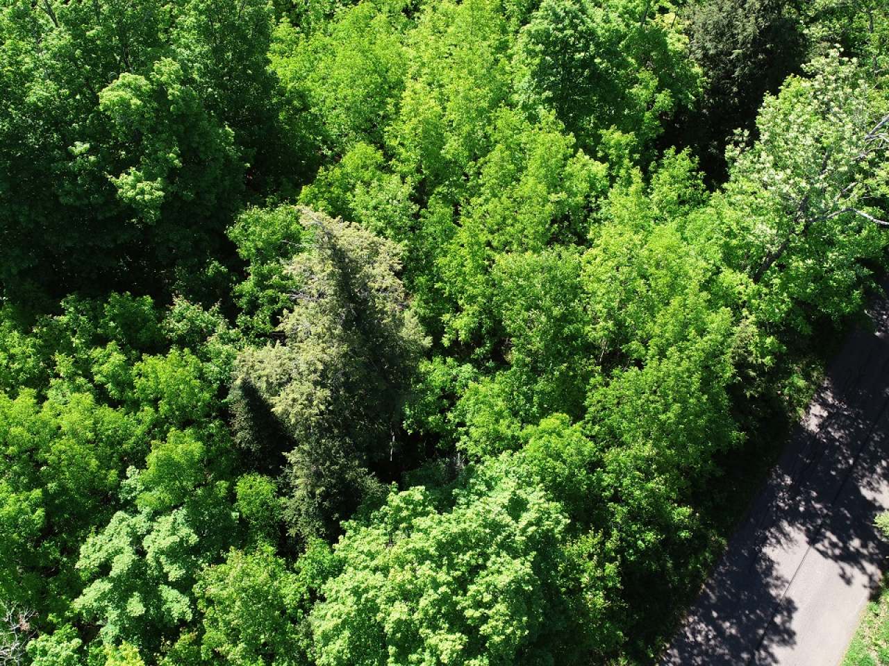Lot 4 John Dul Road Mercer, WI 54547 - Photo 28 of 30 Gallery Image 28
