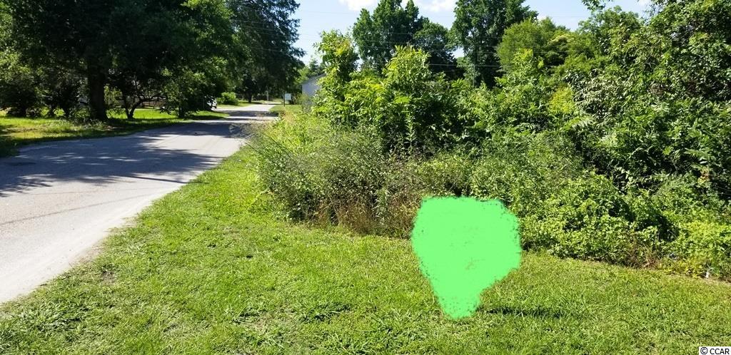 106 Clark Street Mullins, SC 29574 - Photo 5 of 6