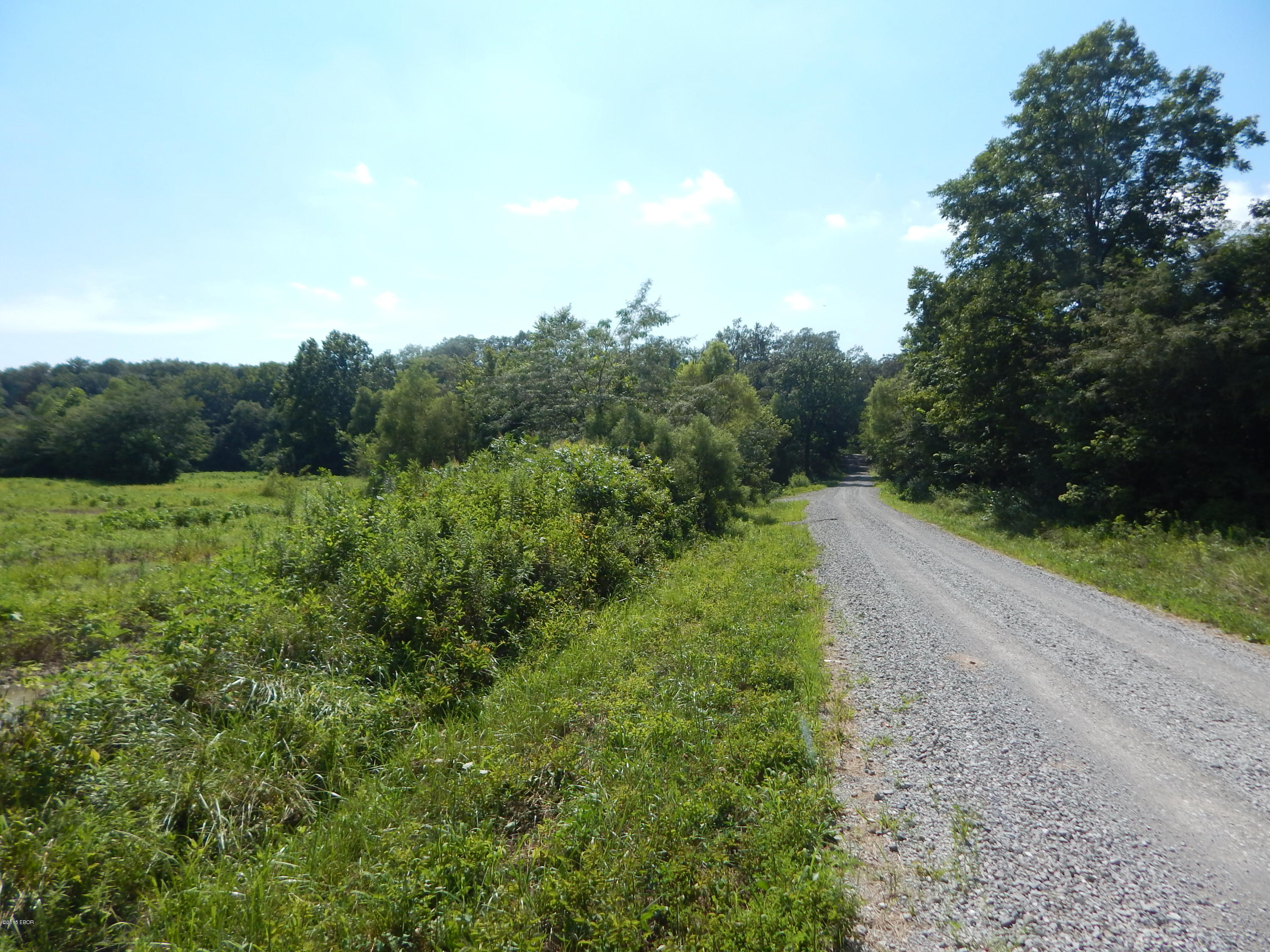 Xxx Sawmill Road Pinckneyville, IL 62274 - Photo 4 of 6