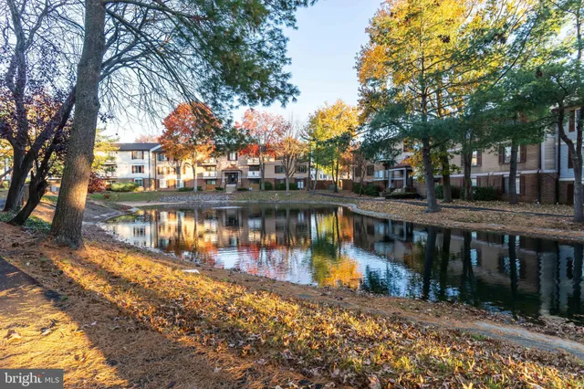 a lake view with wooden bridge