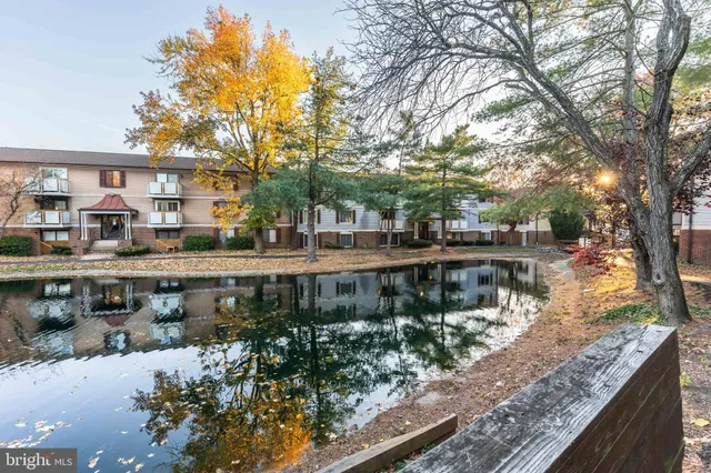 a view of river covered with trees