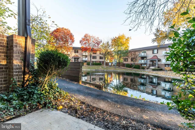 a view of a lake with a building in the background