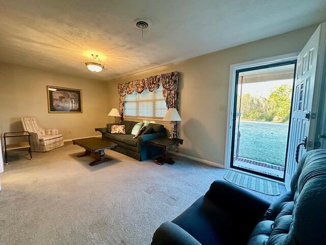 3403 Springhill Church Road Blythe, GA 30805 - Photo 6 of 26 IMG_8613