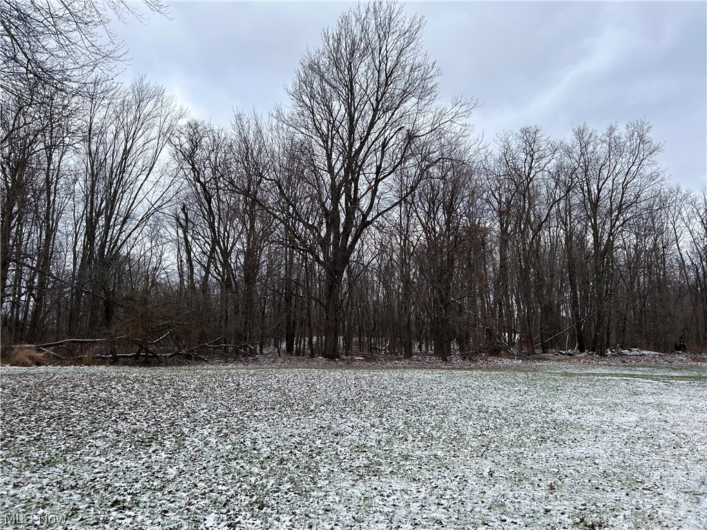 7799 Cashen Road Madison, OH 44057 - Photo 10 of 13 Peace and Serenity