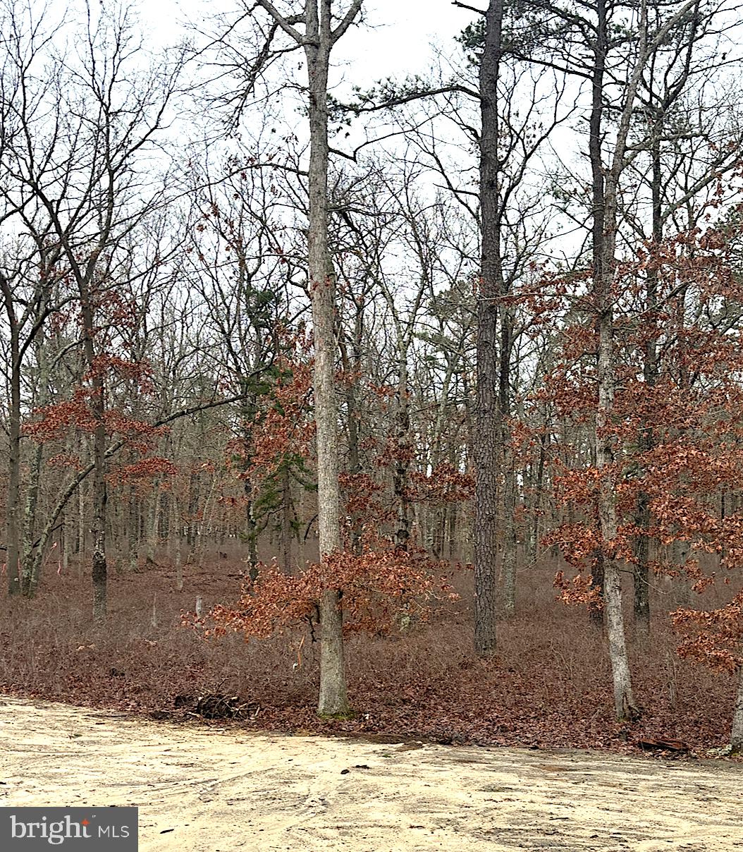 2 Emilie Court Buena, NJ 08310 - Photo 13 of 17 BACK YARD