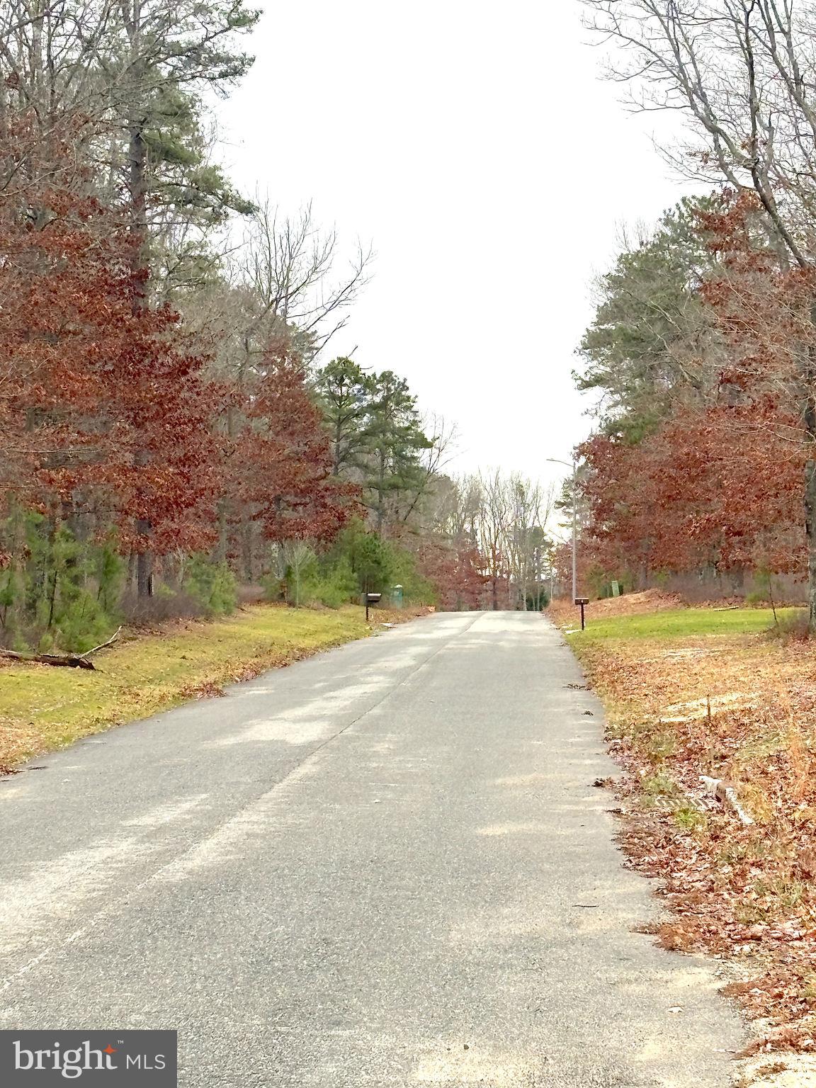 2 Emilie Court Buena, NJ 08310 - Photo 15 of 17 CUL-DE-SAC STREET