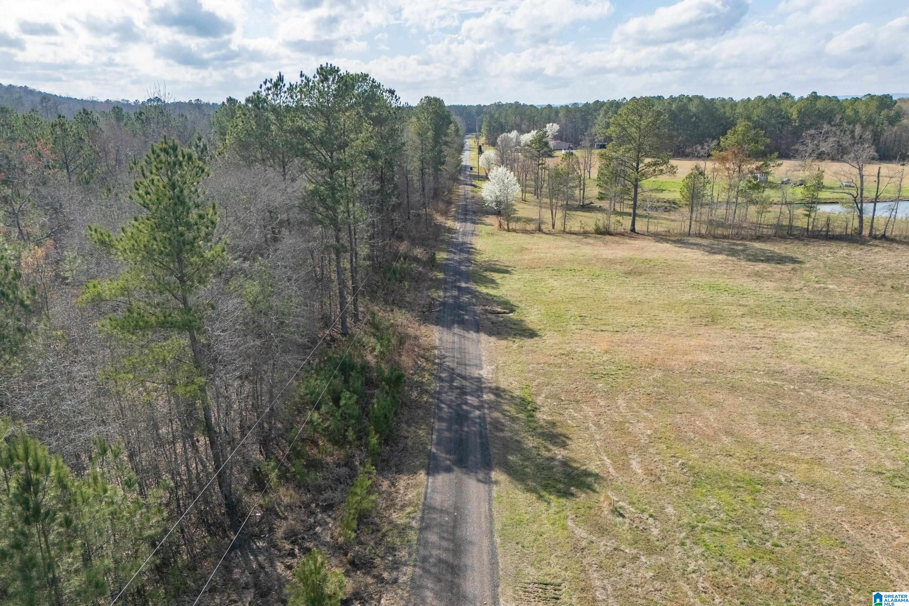 7 Fisher Phillips, Unit 7 Ashville, AL 35953 - Photo 10 of 28