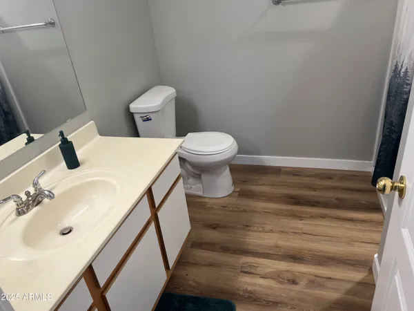 a bathroom with a sink and a toilet
