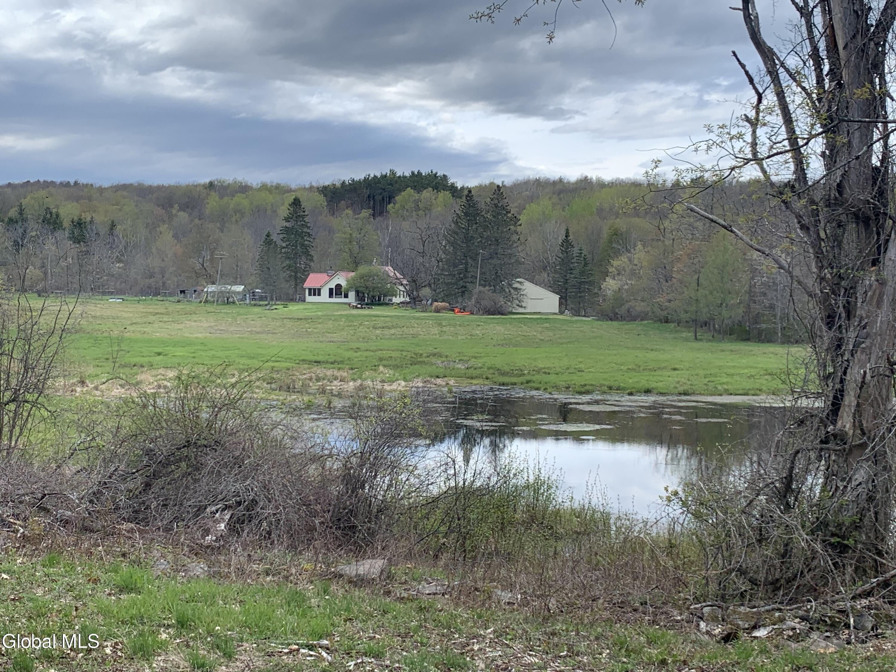289 Bryan Road, Unit 289 BRYAN RD Rensselaerville, NY 12147 - Photo 27 of 29 IMG_3498