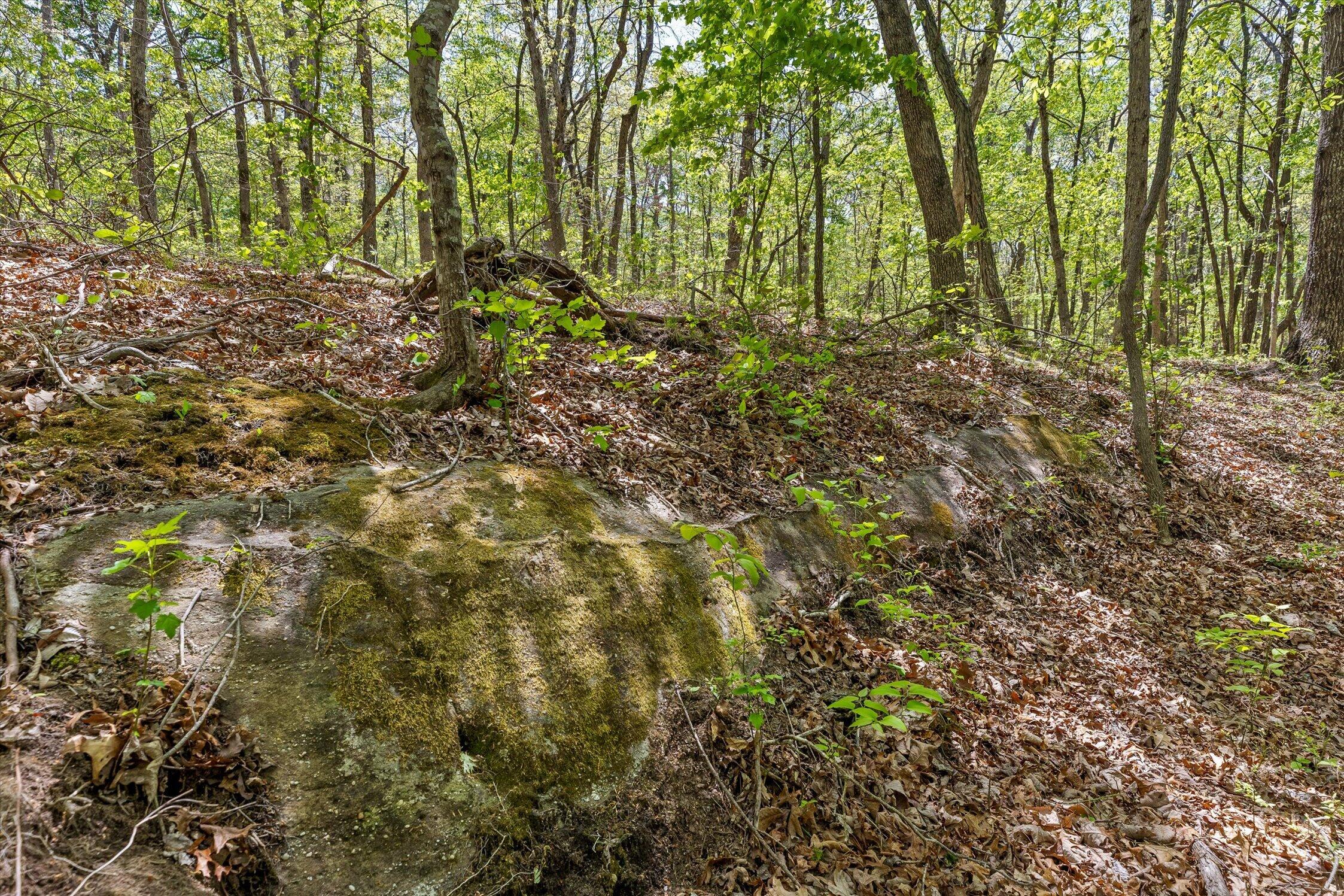 0 Deepwoods Road, Unit 12 Sewanee, TN 37375 - Photo 18 of 50 28-Deepwoods-28