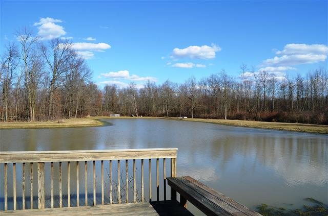 15715 Brunson Road Hoagland, IN 46745 - Photo 4 of 22