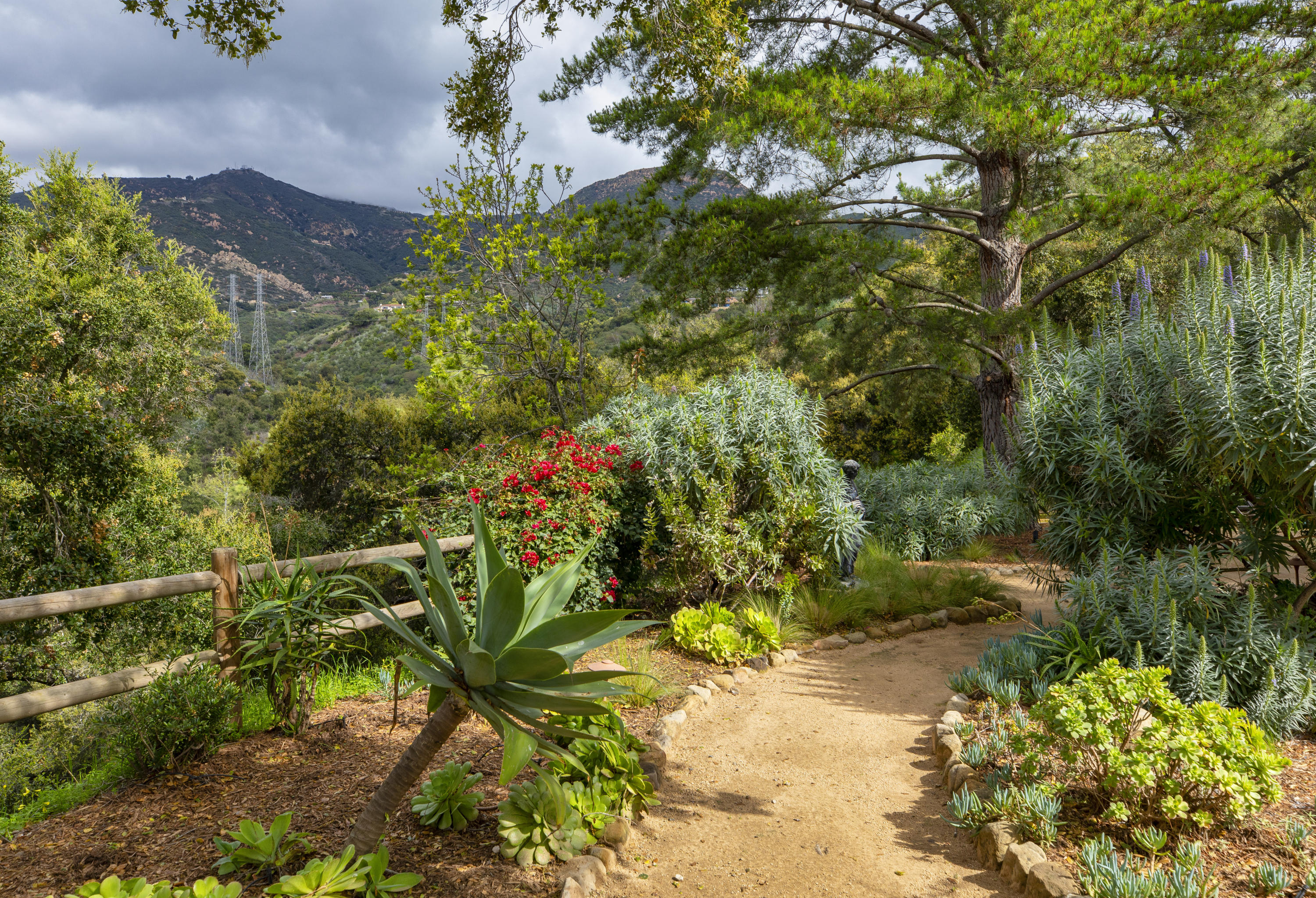 665 Coyote Road Santa Barbara, CA 93108 - Photo 24 of 27 Drought tolerant landscaping